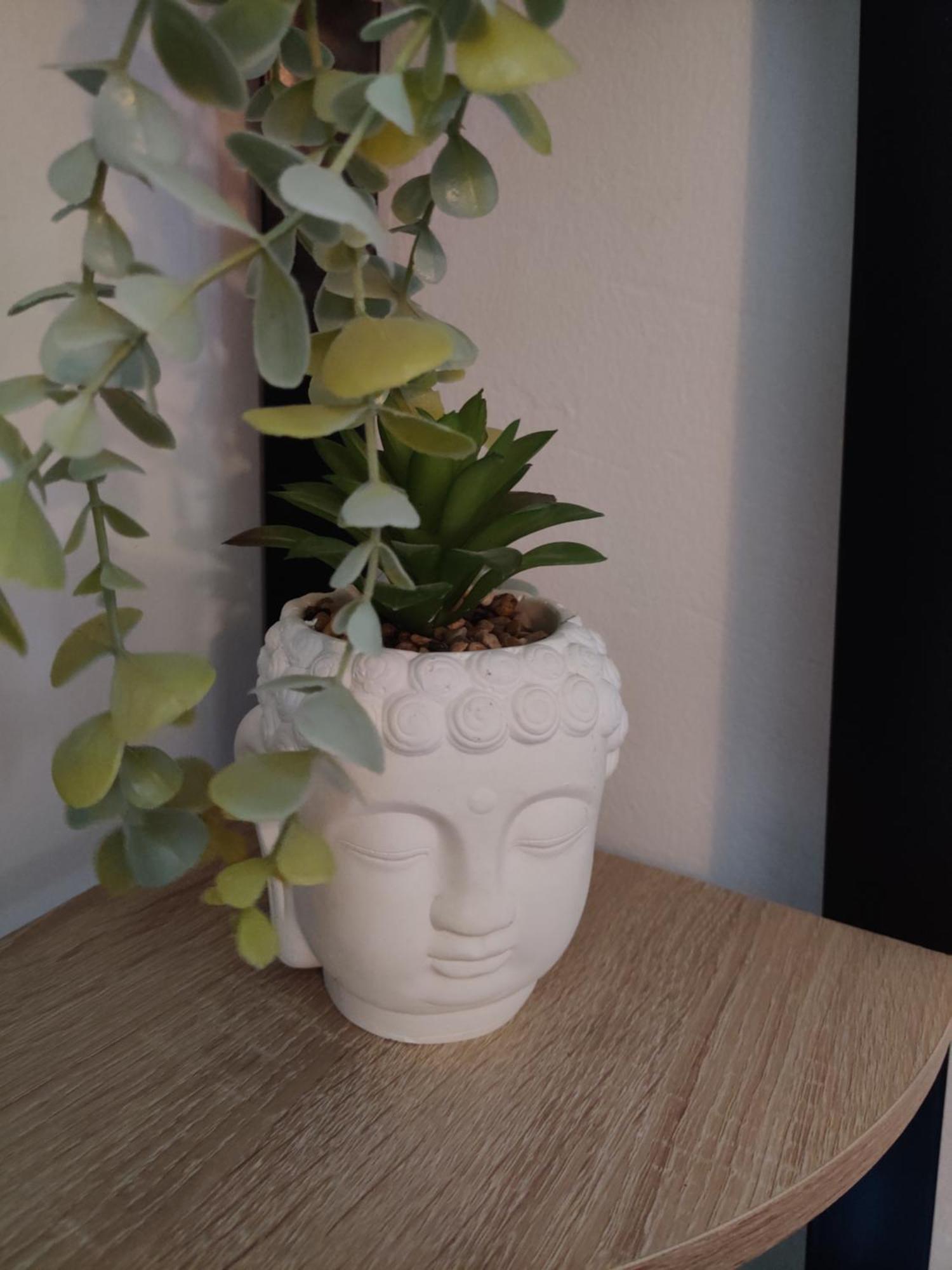 Apartment La Jungle Urbaine Avec Garage Prive & Climatisation