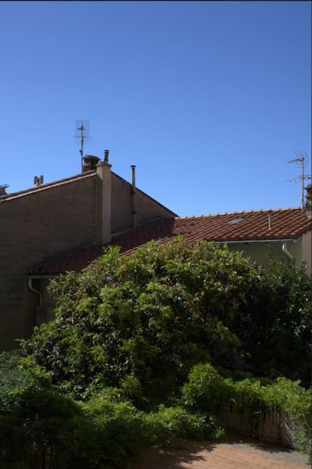 La Jungle Urbaine Avec Garage Prive & Climatisation Apartment *